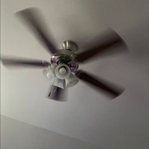 Meet your Posher, Miriam